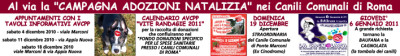 Banner campagna adozioni natalizia 2010