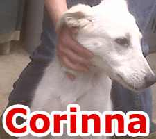 corinna-old