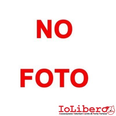 nofoto-400x400