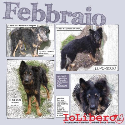 2_Calendario_IoLibero2015_FEB