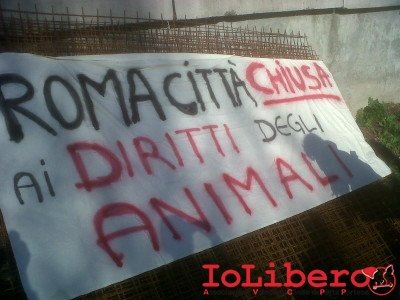 Roma-20121124-00054
