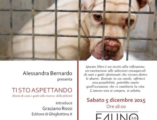 “Ti sto aspettando”: un libro con le storie dei cani e dei gatti dei canili comunali di Roma