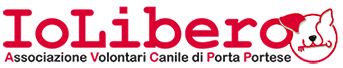 IoLibero Retina Logo