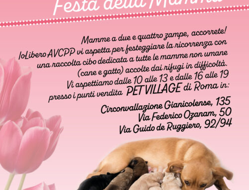 Festa della Mamma: dal Pet Village festeggiamo anche noi