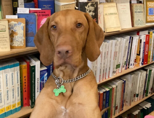Il cane che amava i libri. Raccolta fondi in memoria di Victor
