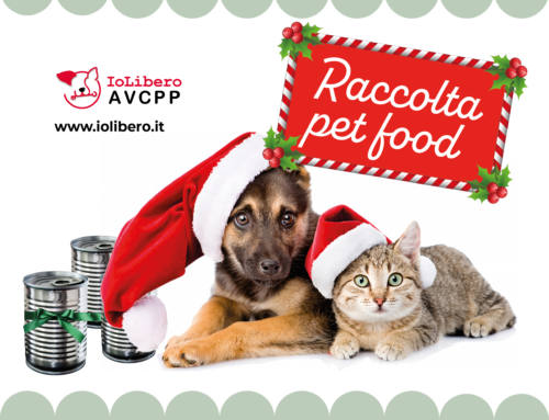 Raccolta pet food 16 dicembre: it’s Christmas time!