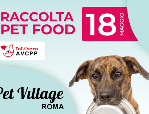 Raccolta cibo cani e gatti a Roma: ti aspettiamo da Pet Village sabato 18 maggio