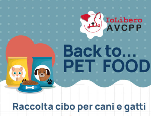 Raccolte cibo: si riparte a settembre!