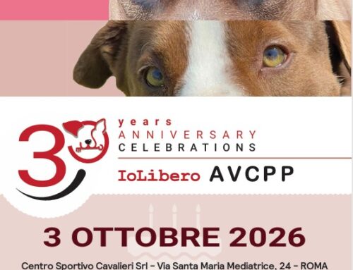 30 anni di Io Libero: insieme per celebrare la storia di AVCPP